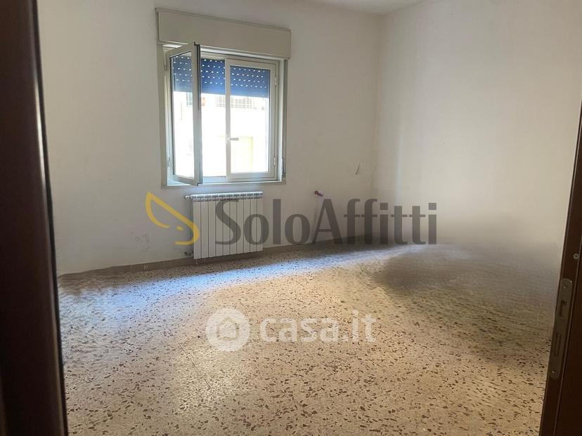 Trilocale in Traversa Basile 4 — foto 15 di 21