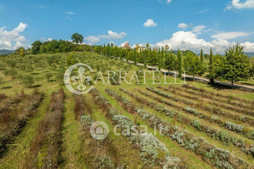 Villa in Via Stradello di Ago 7 — foto 13 di 76