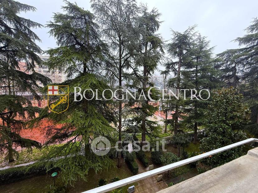 Appartamento in Via Alceste de Ambris — foto 33 di 34