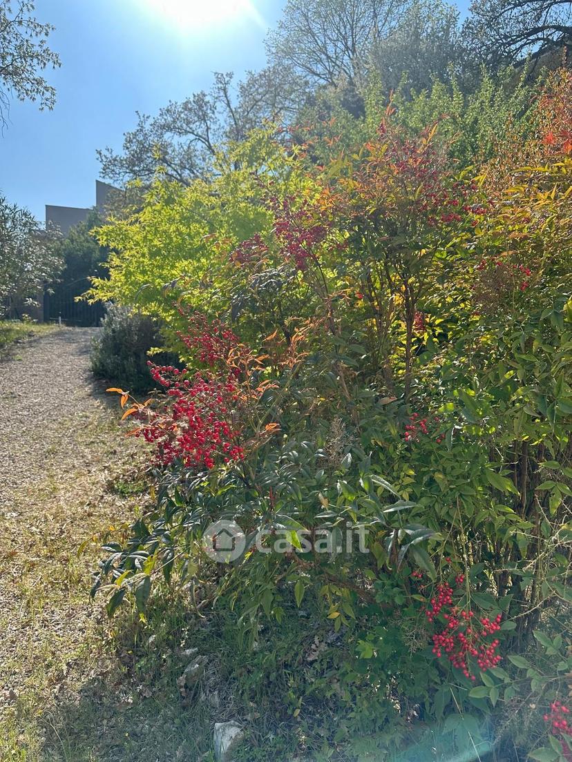 Villa in Via delle Fonti — foto 50 di 53