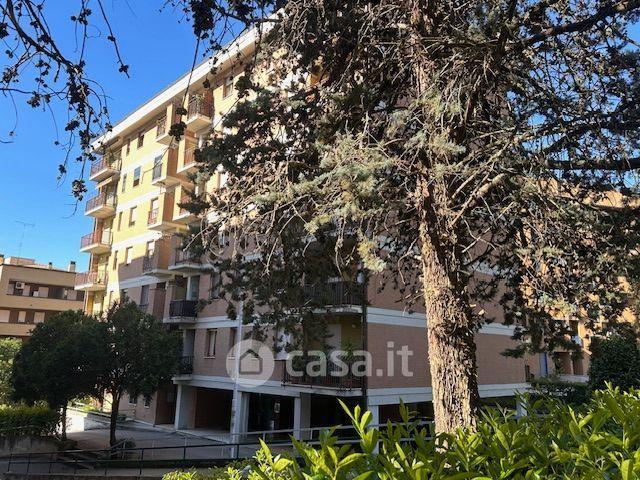 Trilocale in Via Amerigo Vespucci — foto 13 di 21