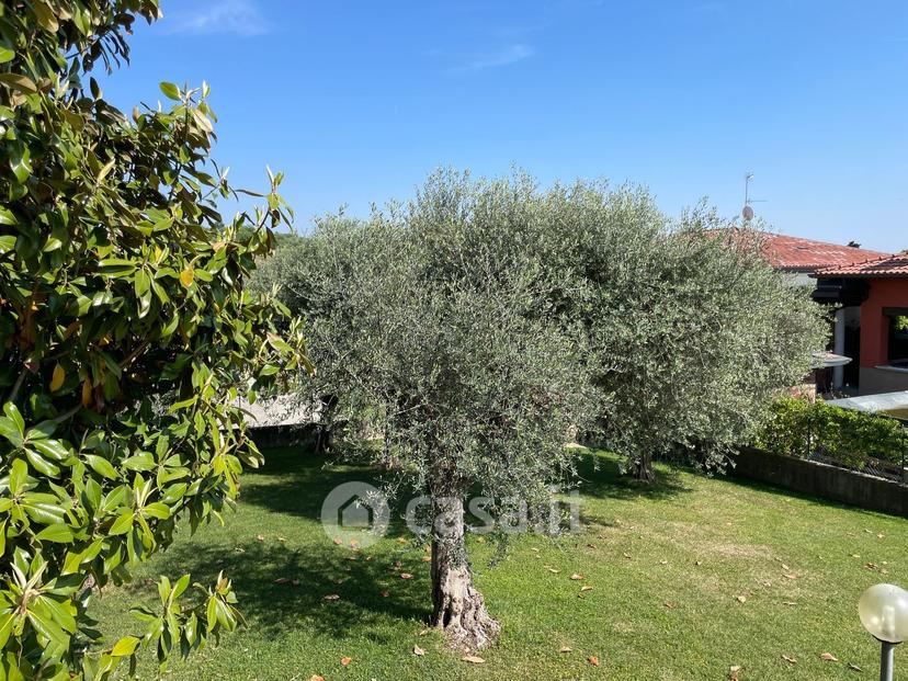 Villa in Via Isabella d'Este — foto 16 di 27