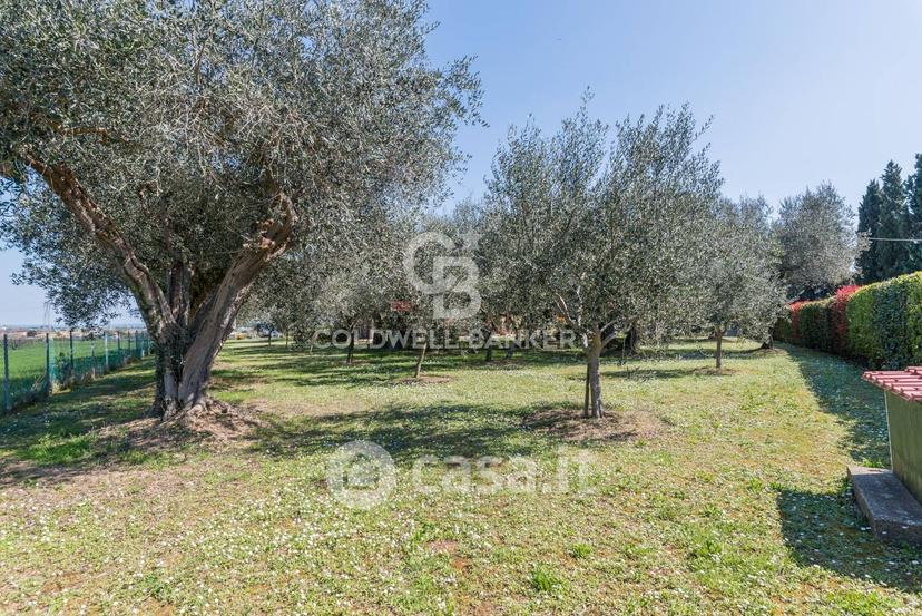 Villa in Via San Giovanni 56 — foto 22 di 79