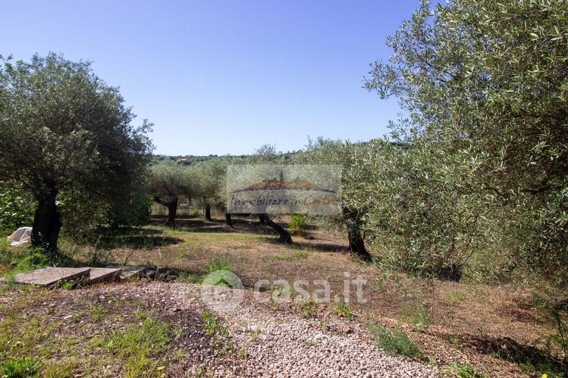 Villa in Strada Vicinale Salondra 78 — foto 29 di 35