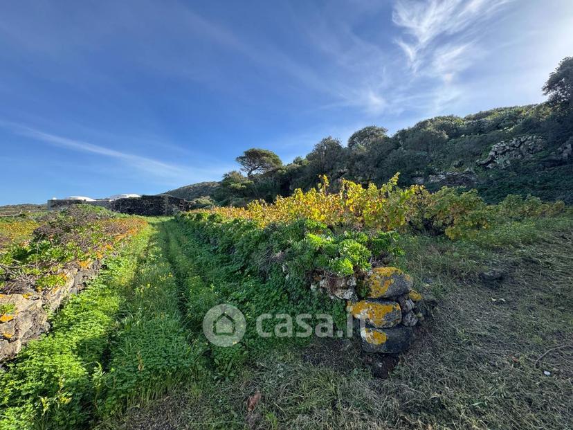 Villa in Via San Vito — foto 7 di 38