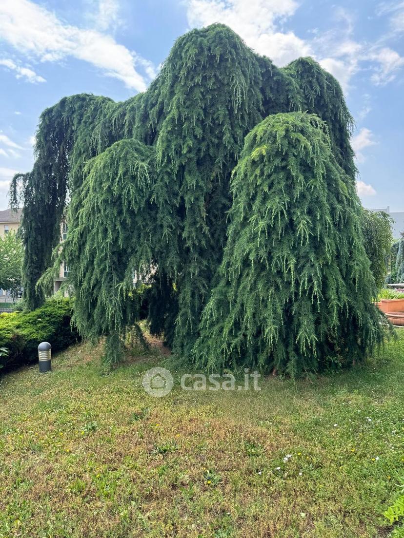 Villa in Via Falcone Giovanni — foto 117 di 122