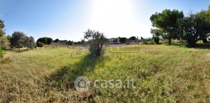 Villa in Pescoluse — foto 29 di 29
