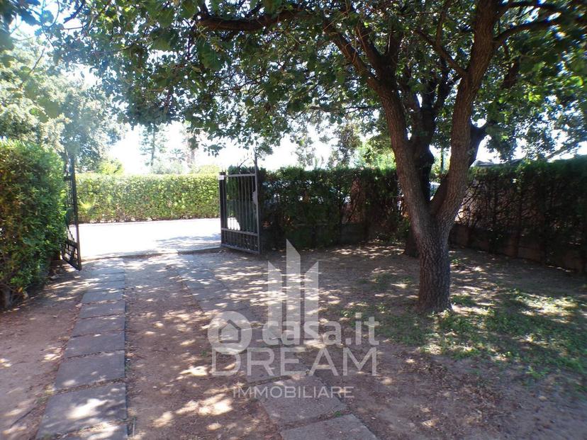 Villa in Via delle Tamerici 24 — foto 14 di 31
