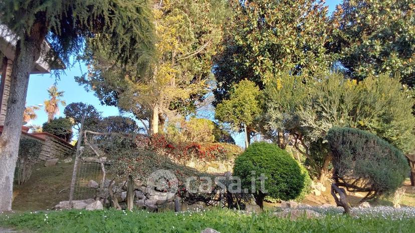 Villa in Località Uvaiolo — foto 46 di 66