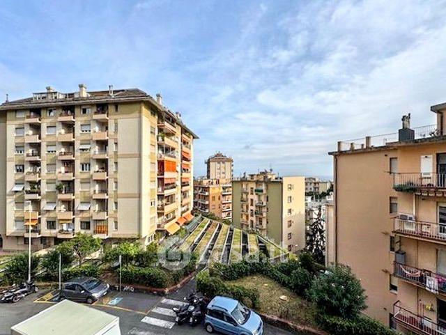 Trilocale in Via Luigi Rizzo — foto 38 di 40