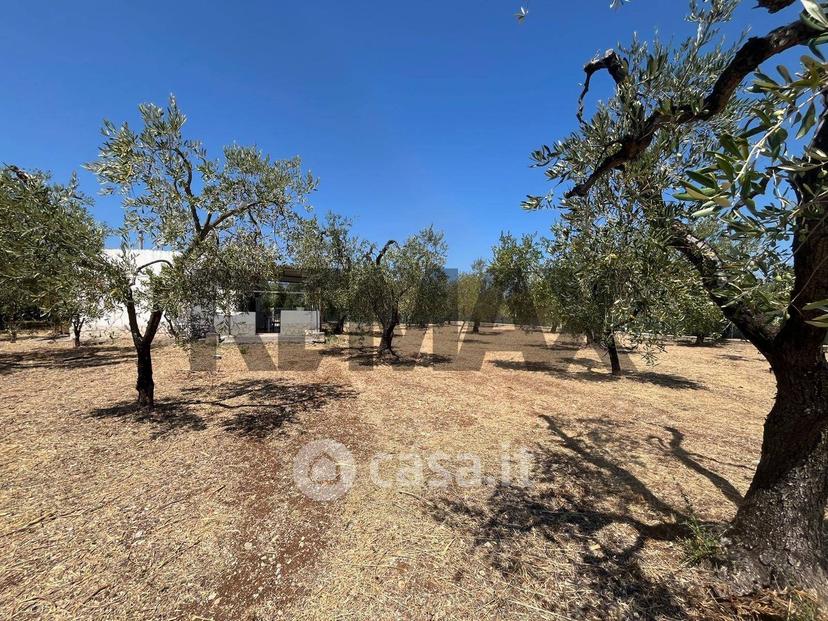 Villa in Località Spacco 1 — foto 20 di 31