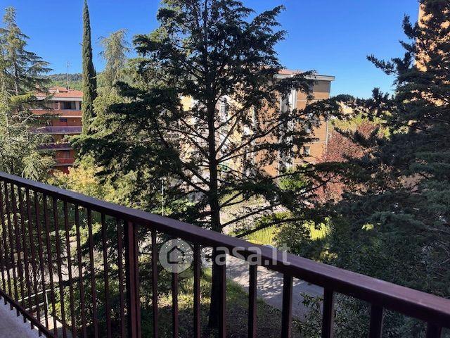 Trilocale in Via Amerigo Vespucci — foto 3 di 21