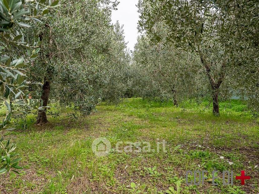 Villa in Località Perelli — foto 12 di 51