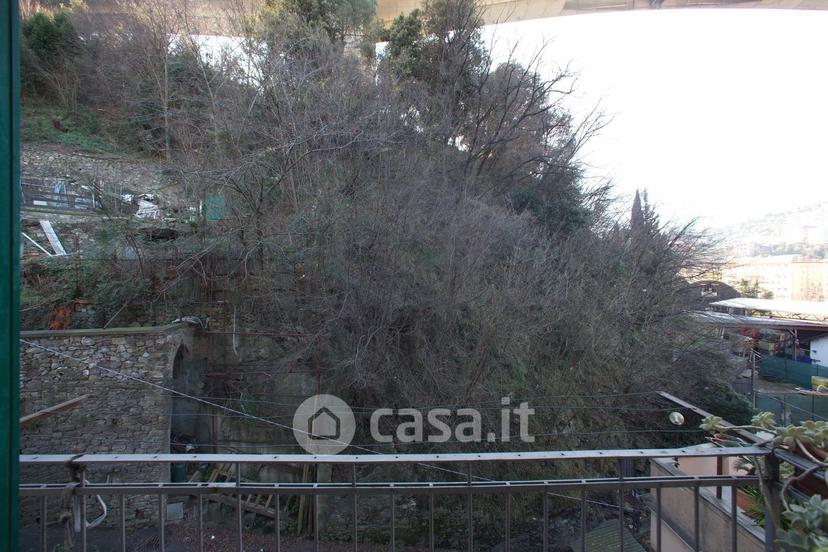 Trilocale in Via Laiasso 10 — foto 19 di 23