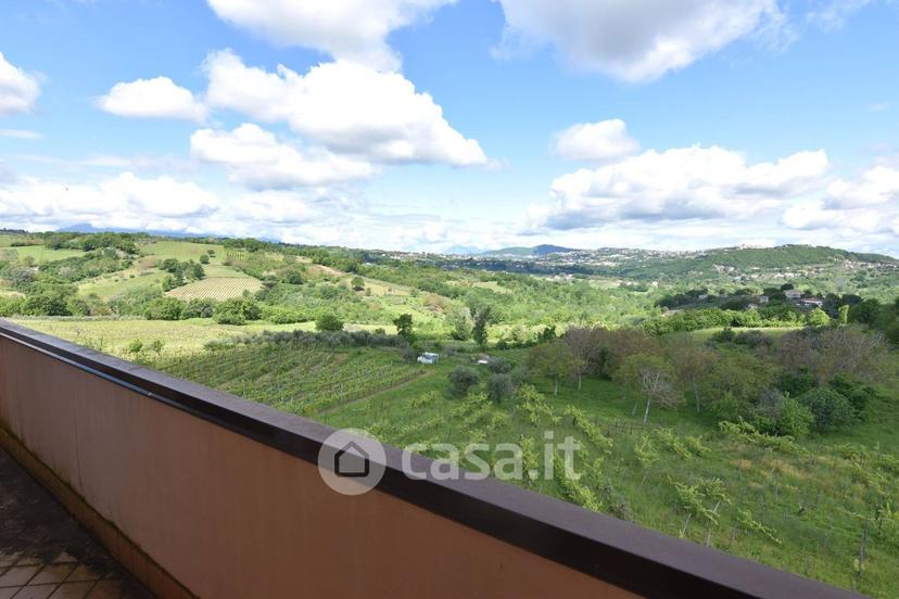 Trilocale in Sp88 — foto 17 di 30