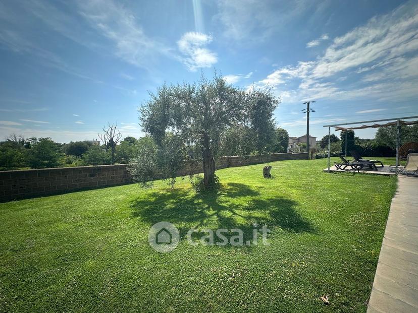 Villa in Via Falerina 185 — foto 22 di 52