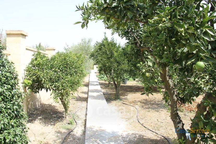Villa in Strada Provinciale 223 — foto 14 di 36