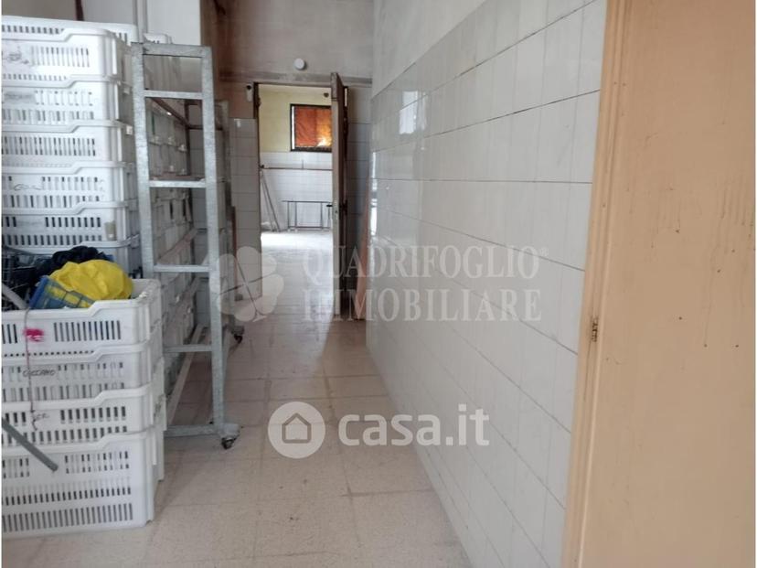 Trilocale in Via San Giuseppe 75 — foto 11 di 35