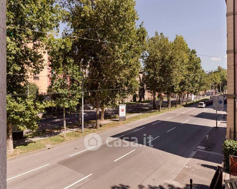Stanza in Viale Giovanni Vicini 20 — foto 15 di 43