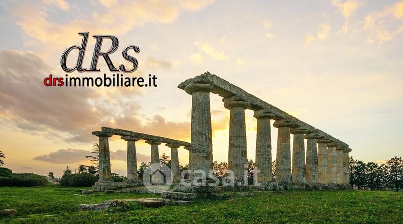 Quadrilocale in Santa Pelagina — foto 23 di 36