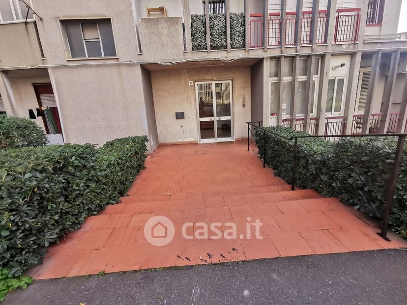 Trilocale in Via Rimini Roberto — foto 18 di 35