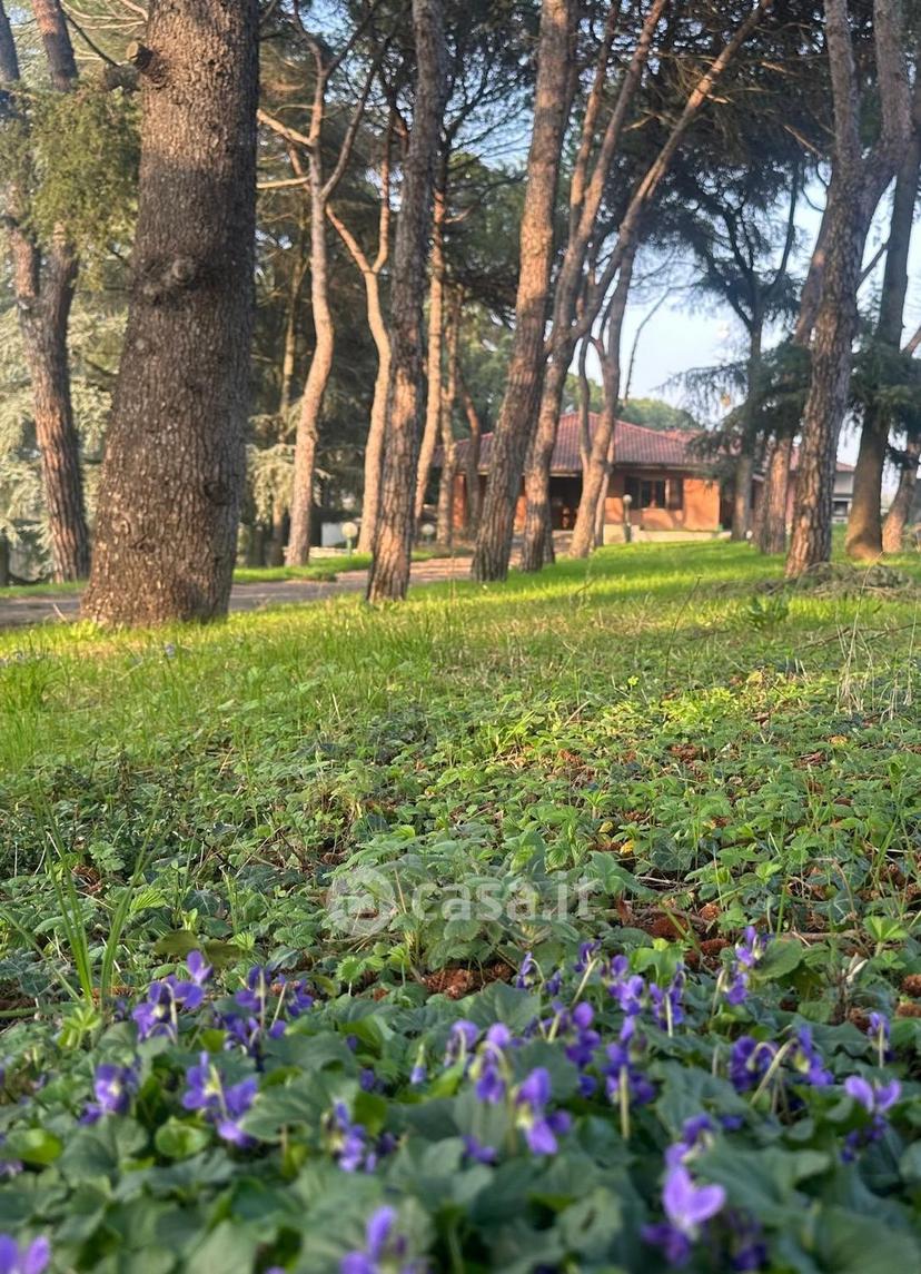 Villa in Via Martiri di Pizzocalvo — foto 27 di 28