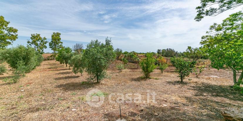 Villa in Strada Comunale Brindisi 6 — foto 42 di 54