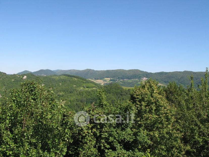 Villa in Frazione Zuccarello — foto 14 di 47