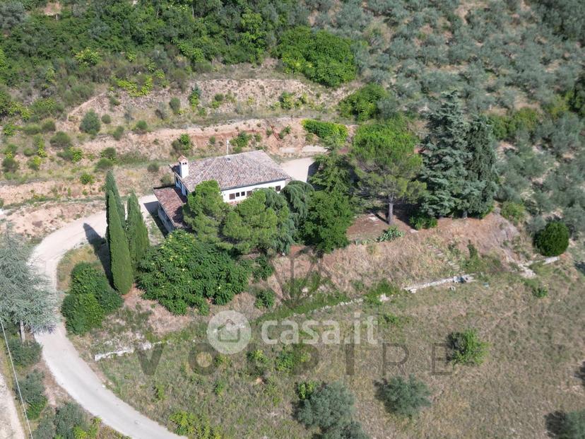 Villa in Via degli Ulivi — foto 5 di 20