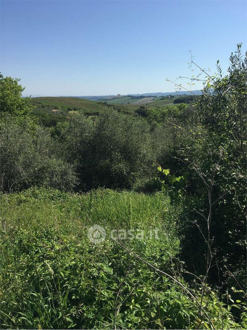 Bilocale in Via Provinciale Valle Benedetta 38 — foto 11 di 24