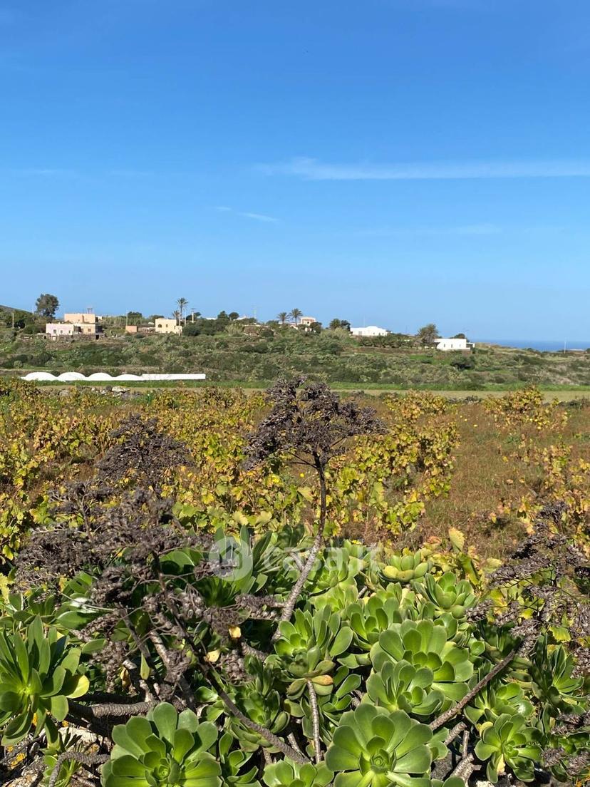 Villa in Via San Vito — foto 8 di 38