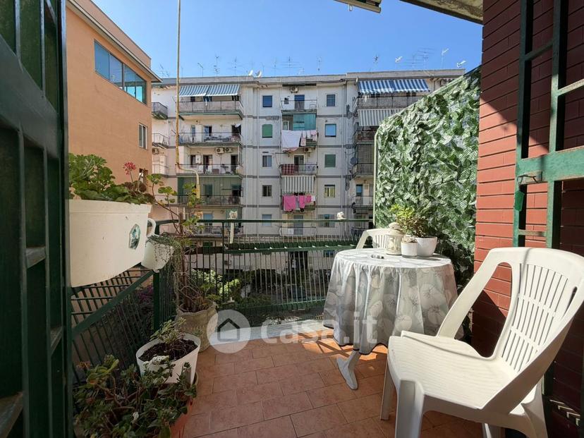 Trilocale in Viale Leone 24 — foto 21 di 33
