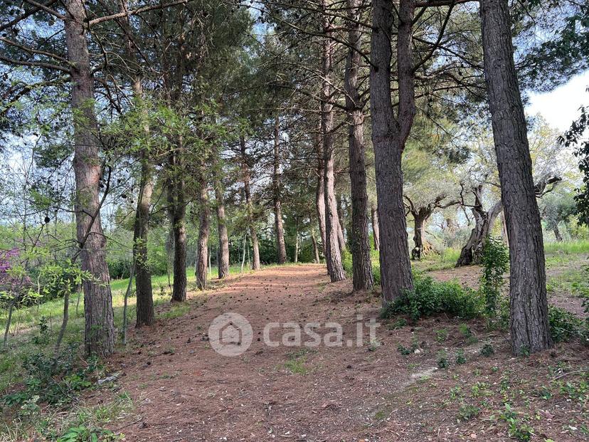 Villa in Contrada Valchiusa — foto 22 di 43
