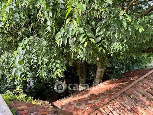 Trilocale in Piazza Petrarca — foto 16 di 24