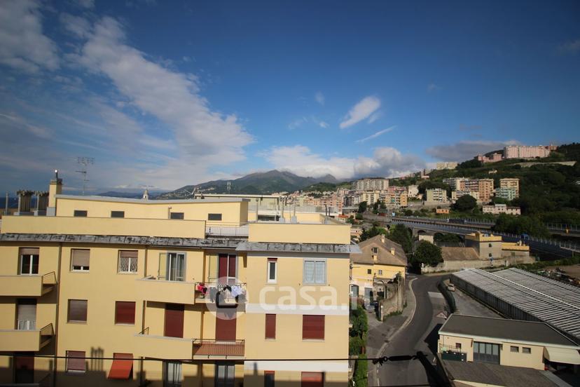 Quadrilocale in Via Taggia 11 — foto 3 di 45
