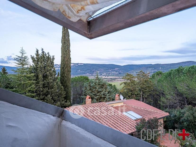 Villa in Strada Statale 439 Sarzanese Valdera 18 — foto 44 di 131