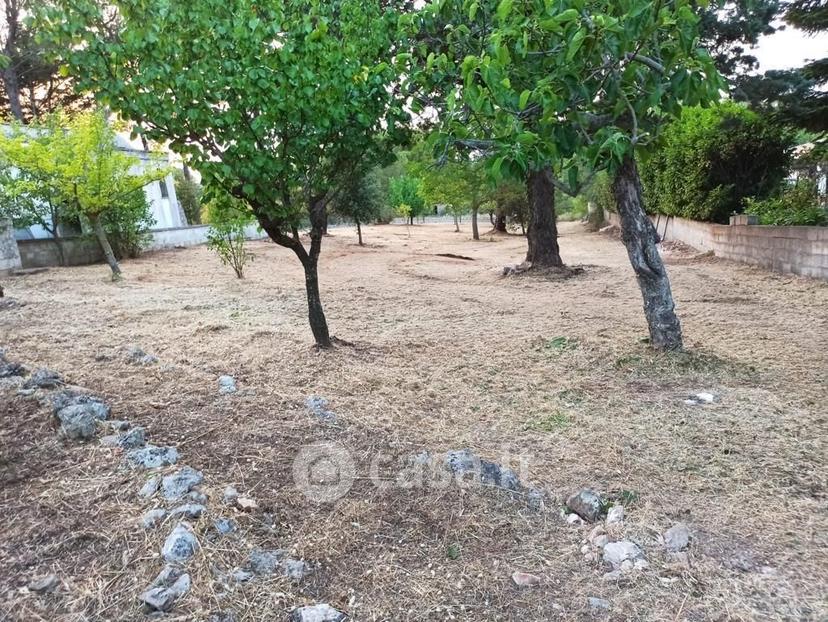 Villa in Via Vaccara — foto 13 di 30