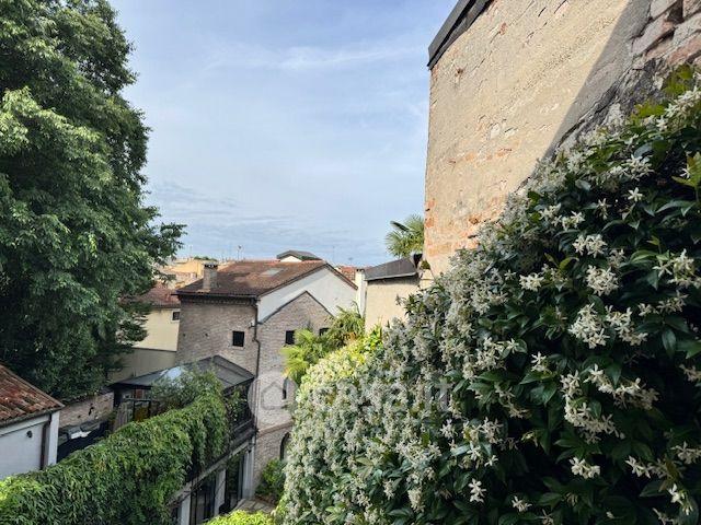 Trilocale in Piazza Petrarca — foto 20 di 24