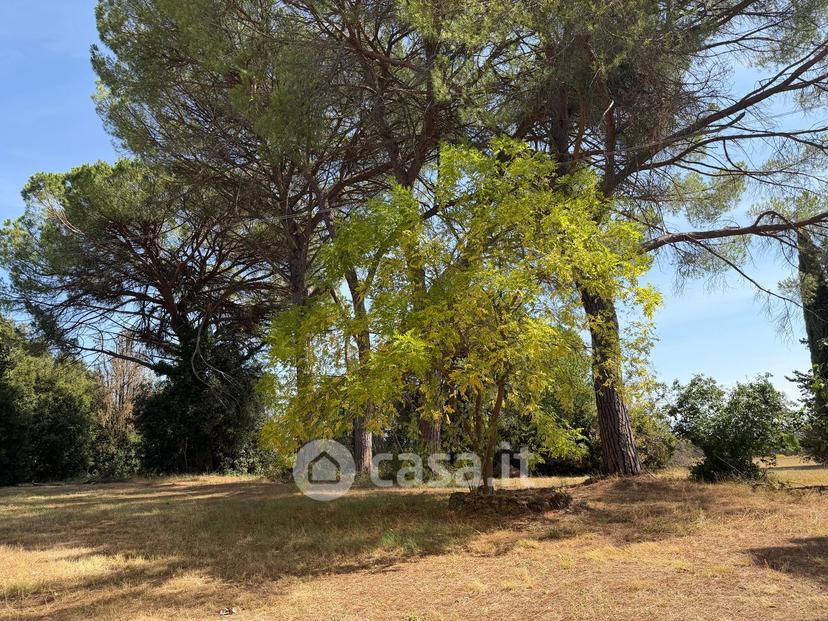 Villa in Strada Provinciale di Monteaperti — foto 3 di 54