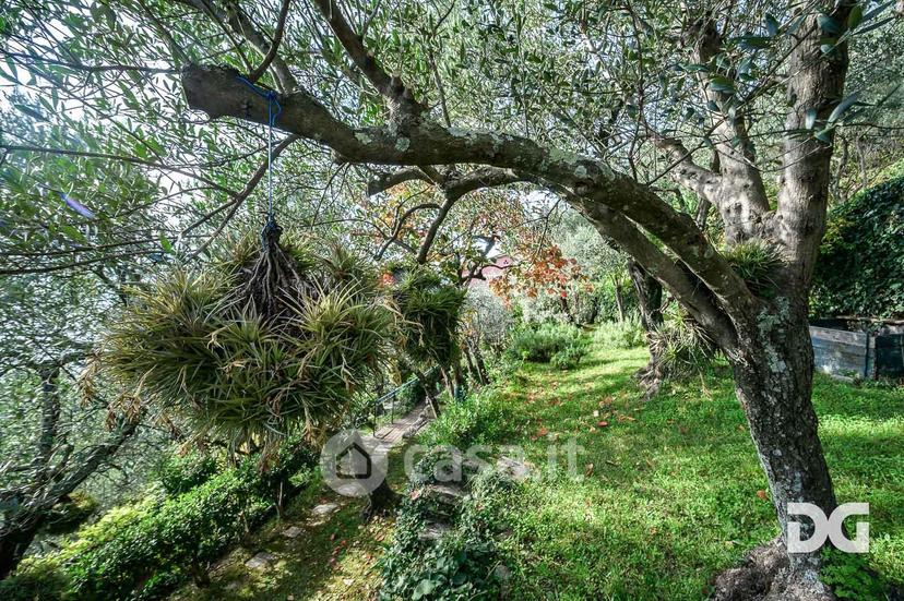 Appartamento in Via Armanna 19 a — foto 45 di 45