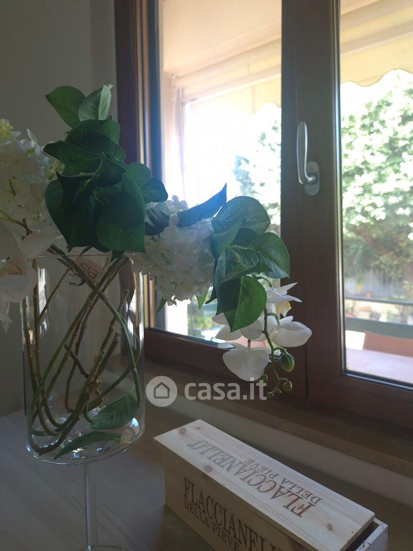 Villa in Castiglioncello — foto 27 di 33