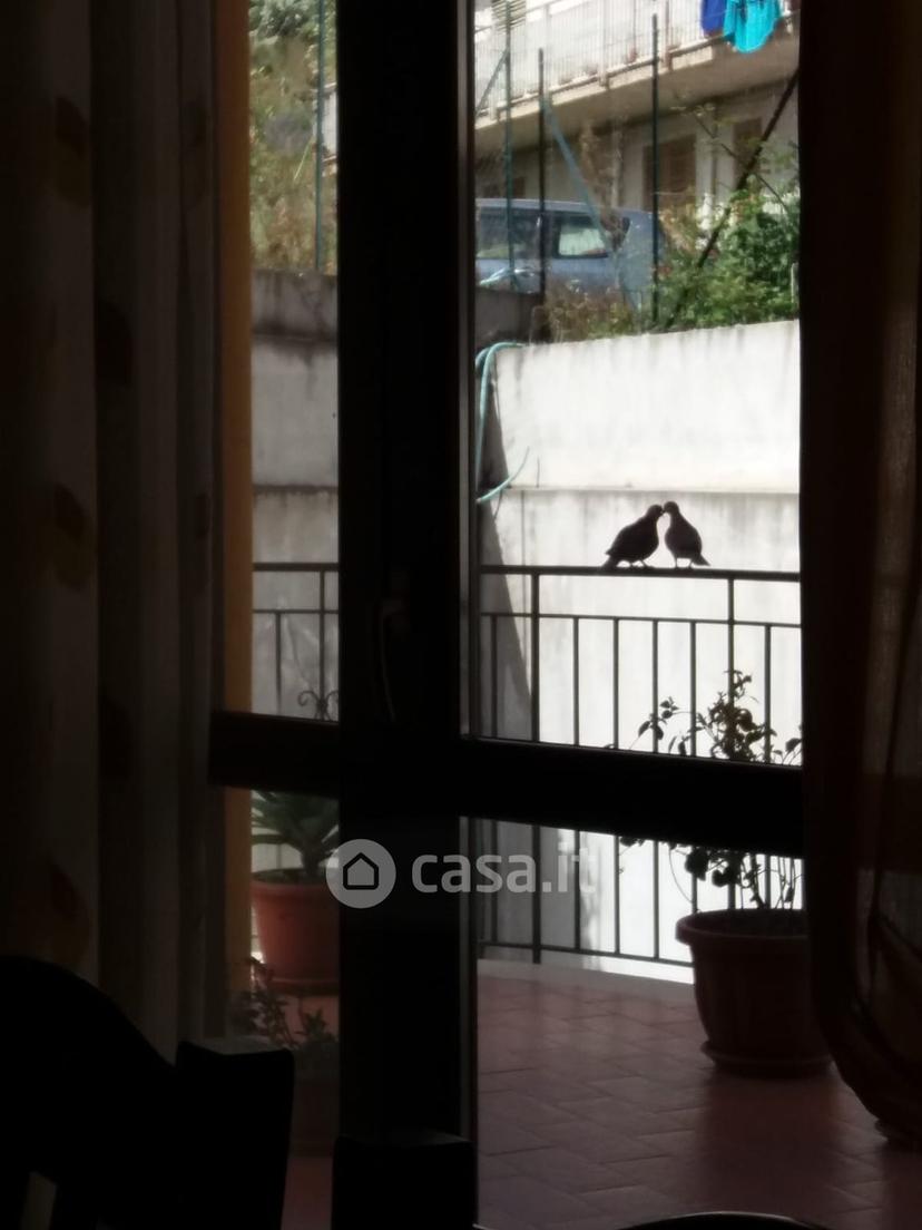 Quadrilocale in Via Roma 11 — foto 8 di 33