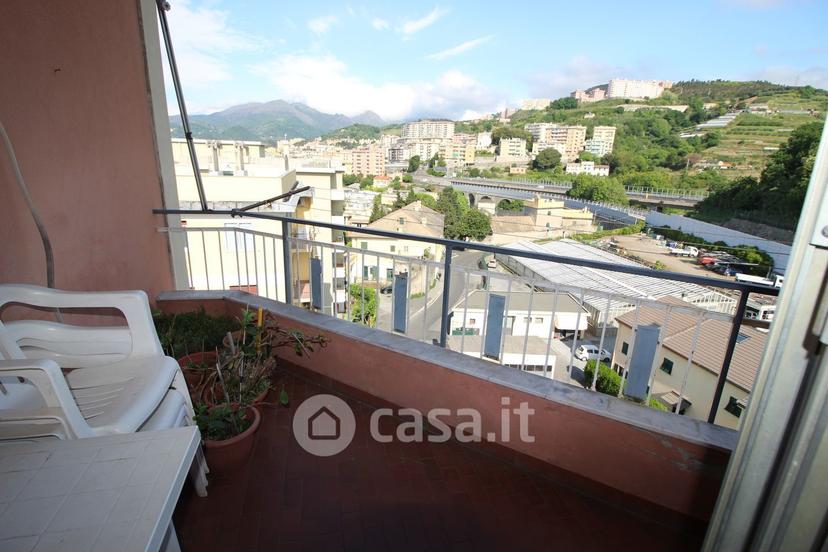 Quadrilocale in Via Taggia 11 — foto 34 di 45