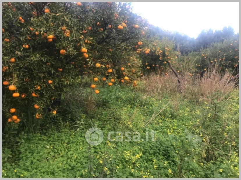 Appartamento in Corso Umberto I — foto 21 di 32
