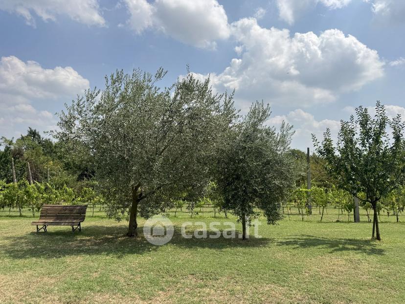 Appartamento in Via Montebello — foto 26 di 44