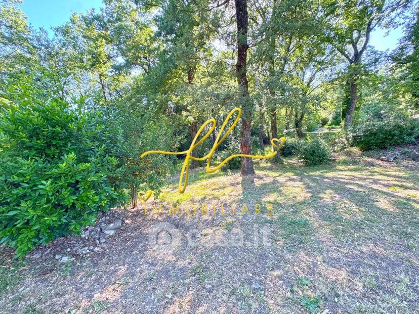 Villa in Località Gualda — foto 18 di 42