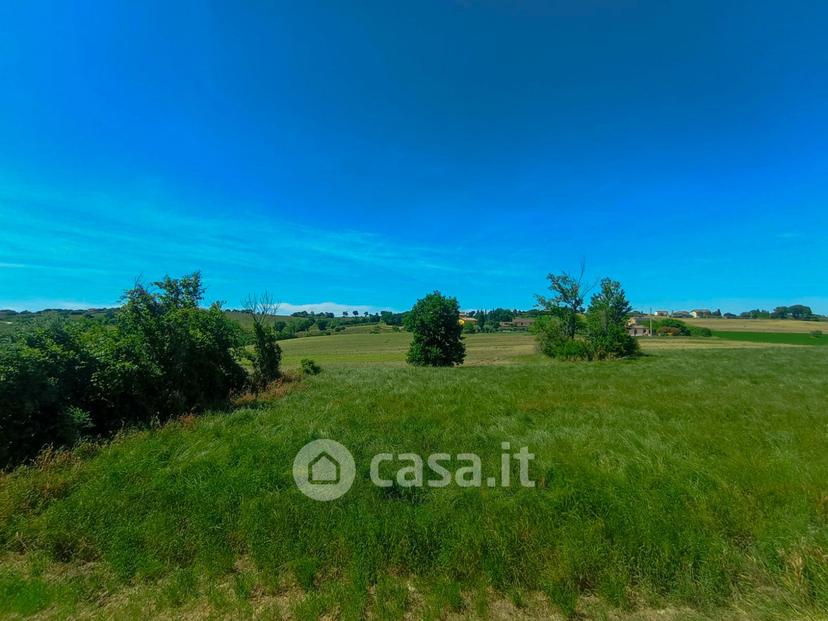 Quadrilocale in Contrada Renacci — foto 16 di 40
