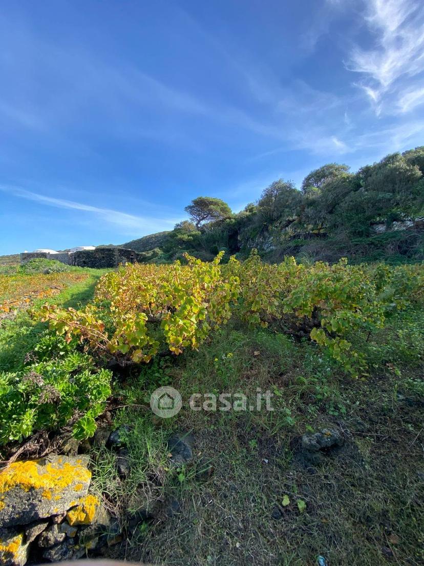 Villa in Via San Vito — foto 11 di 38