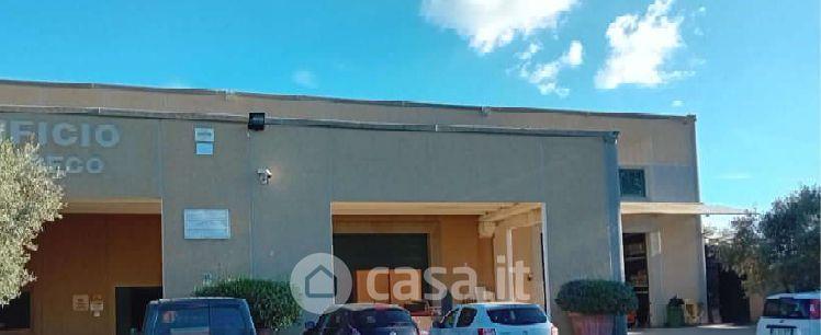 Villa in Contrada Moschetta — foto 10 di 33