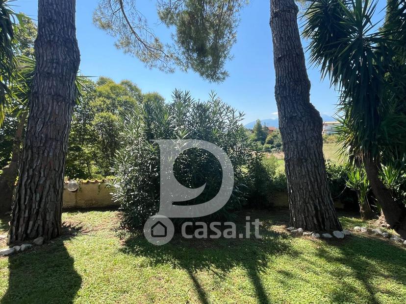 Villa in Via dei Platani 88 — foto 37 di 102